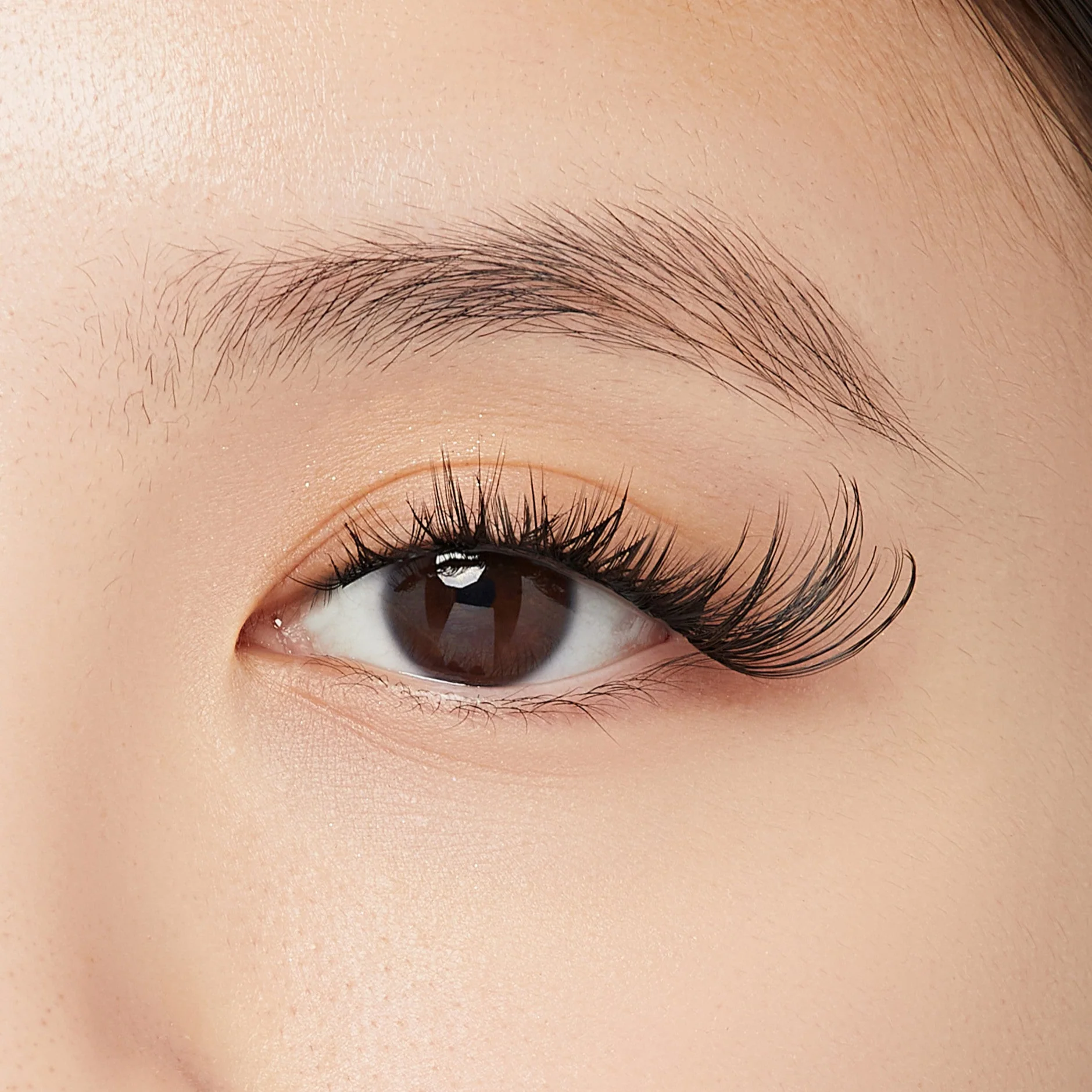 Faux Cils Cat Eye miniature 2